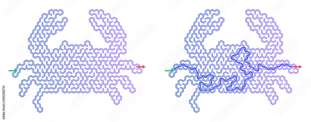 Fototapeta premium Crab Maze, Sea Life Puzzle