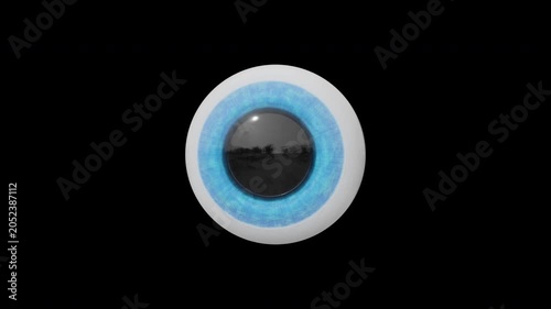 Stylized 3D Eyeball Rotating on a Transparent Background. Seamless Loop. 4K