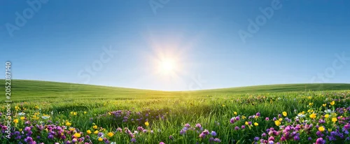 Panel kuchenny z motywem Sunlit green fields dotted with vibrant flowers beneath a clear blue sky create a warm, peaceful summer scene.