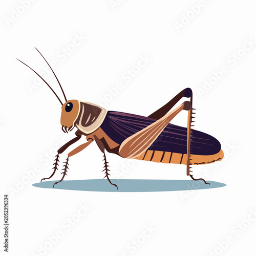 Illustration of a Grasshopper