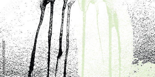 Foto Adobe Illustrator Artwork