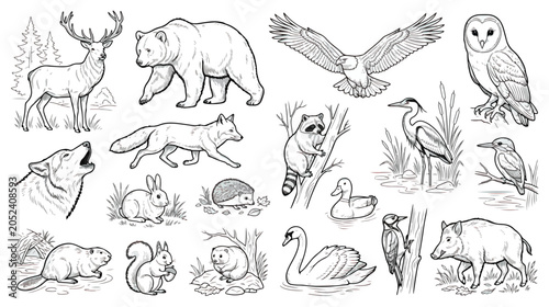 Canvas Print Forest animals line art collection, 18 woodland wildlife vector illustrations, b