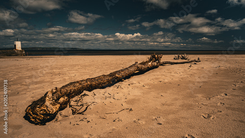 Bild auf Leinwand Driftwood Log on Nairn Beach with Lighthouse and Moray Firth Panorama, Scotland