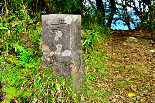 Foto 御坂山地の王岳山頂　二等三角点（王岳）