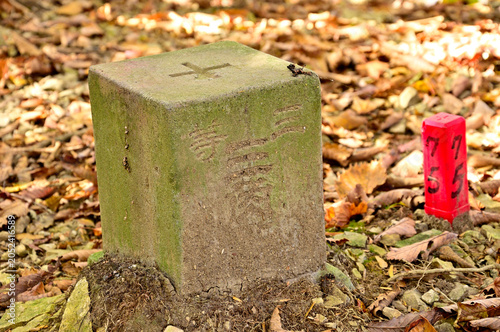 天子山地の中ノ倉山山頂　三等三角点（中ノ倉）
