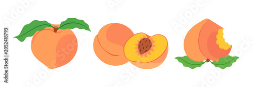 Peach fruit vector set. Whole peach fruit with green leaves cut half showing seed pit and bitten peach. Hand drawn flat style isolated. For stickers, menus, posters, food packaging, recipe blogs.