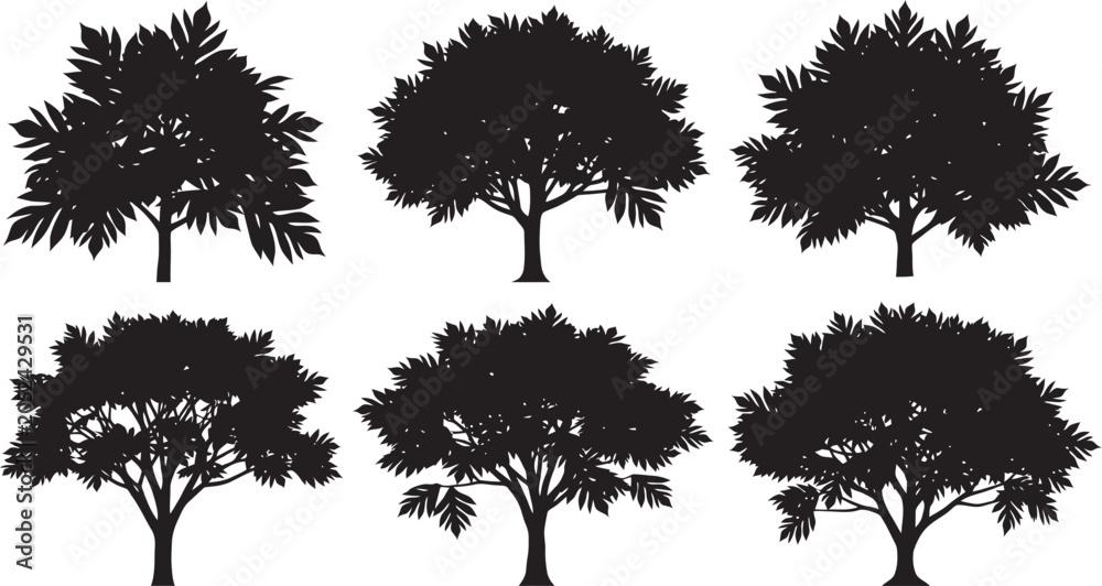 Fototapeta premium Vector illustration of a black silhouette set containing a collection of forest trees, pine, palm, oak, and leaf branches isolated on a white background for nature design elements