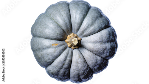 Foto Blue Hubbard squash with ribbed texture and star-shaped stem