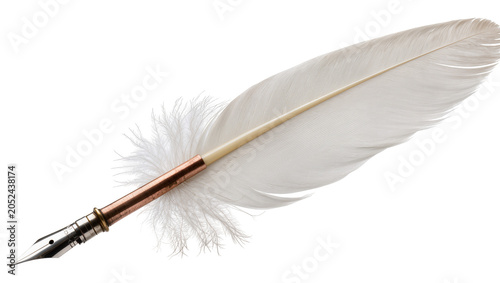 Canvas Print White feather quill pen with copper and silver details