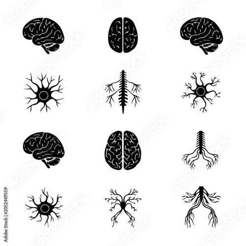Neurons and brain illustrations show nervous system structures in detail