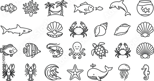 Photography Sea life and ocean animals line icon set for marine biology vacation travel and