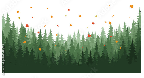 Vector illustration of a forest with falling autumn leaves landscape woodland illustration wilderness evergreen outdoors background