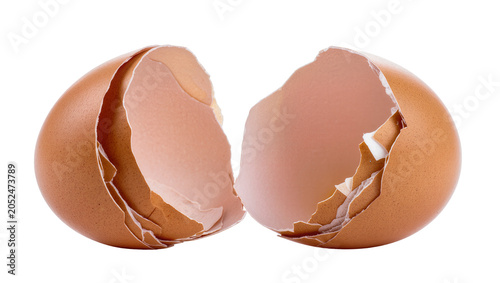 Canvas Print Broken brown eggshell halves with rough edges
