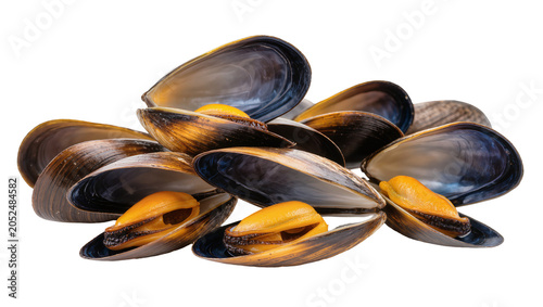 Tablou pe pânză Opened Mussels with Orange Flesh and Dark Shells