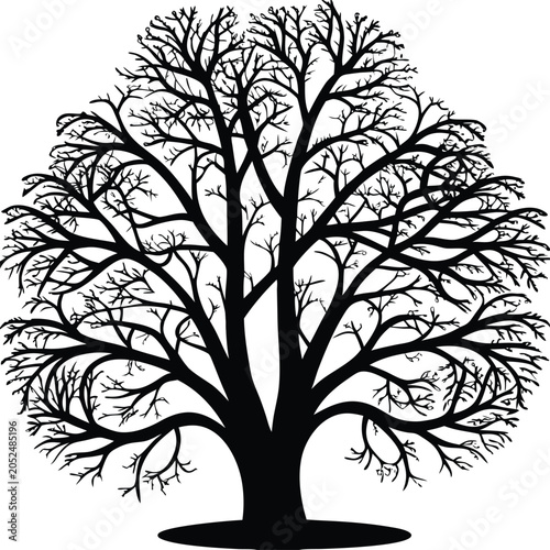 Bare tree, black silhouette, vector tree icon, winter tree