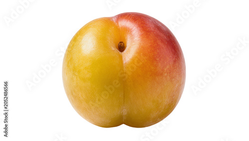 Vászonkép Ripe yellow and red plum fruit with stem indent