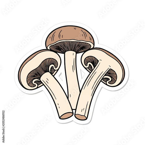 Quadro su tela Three Mushrooms with Brown Caps.