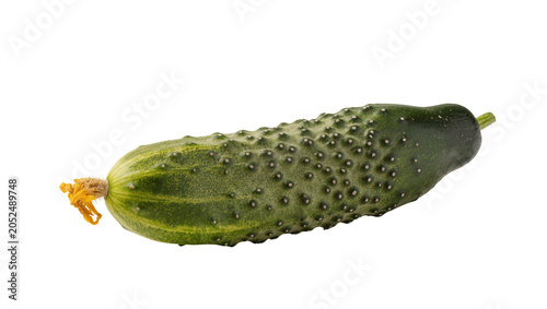 Картината върху платно Green bumpy cucumber with yellow flower remnant