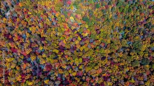 Billede på lærred Aerial View Of The Changing Of The Leaves In The North Carolina Mountains