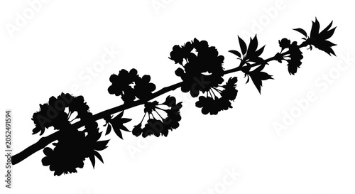 black silhouette of cherry blossom branch