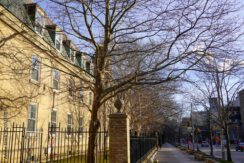 Photography Campus Street Framed By Winter Trees