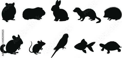 Tableau sur toile Collection of animal silhouettes on white background for design elements