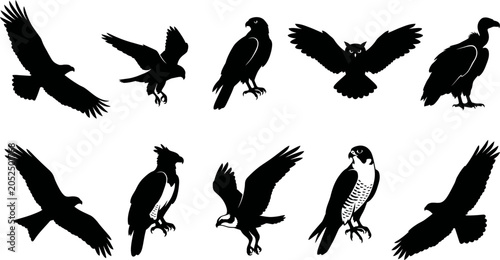 Fotografie Collection of various bird silhouettes flying and standing still  birds of prey
