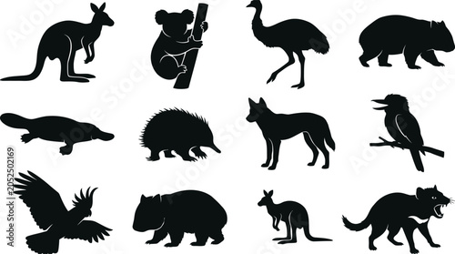 Photography Set of black silhouettes of various Australian wild animals    kangaroo  koala