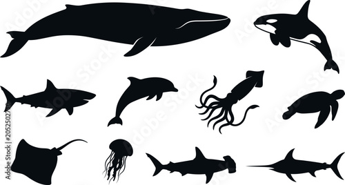 Canvas Print Set of sea animals silhouettes including whale shark dolphin squid turtle ray je