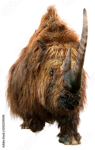 Bild auf Leinwand 3D Rendering Wolly Rhino on White