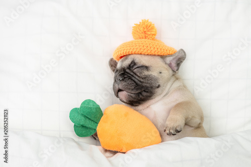 Foto Funny French bulldog puppy wearing tiny warm hat sleeps under warm blanket on a bed and holds toy carrot