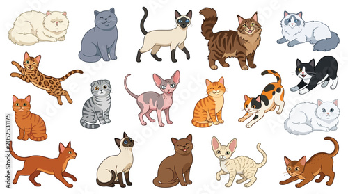 Foto A diverse collection of cat breeds illustrated in a cartoon style, showcasing various colors and poses