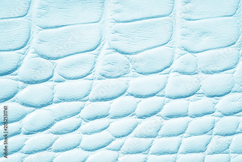 Tablou pe pânză Close up reptile skin texture detail light blue surface