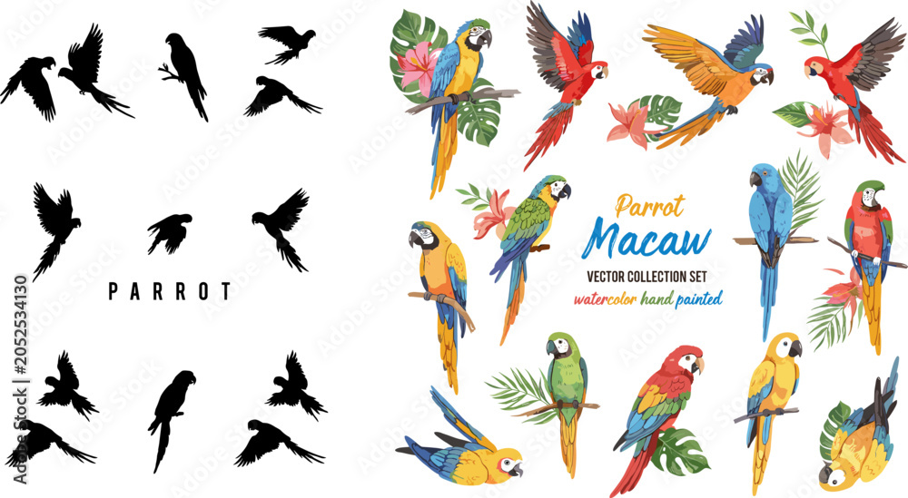 Fototapeta premium Parrot Macaw Watercolor and Silhouette Collection Vector Set Featuring Colorful Tropical Birds with Flowers and Leaves on Gray Background