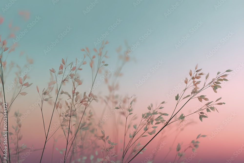 Obraz premium Serene pink and blue sunset with silhouetted grass against a pastel sky
