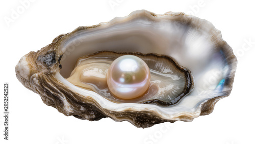 Foto Oyster shell with a single lustrous pearl inside