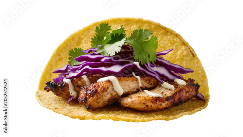 Grilled chicken taco with red cabbage and cilantro