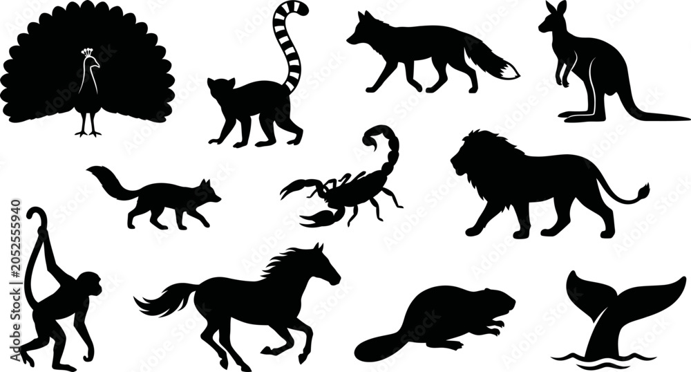 Obraz premium Black silhouette icons of various wild animals and creatures collection