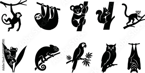 Photography Black silhouettes of various animals hanging on branches and leaves  jungle wild