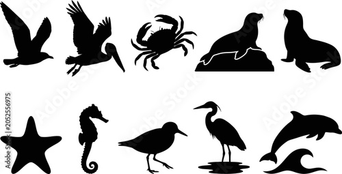 Foto Black silhouettes of various sea and shore animals and birds  marine wildlife ic