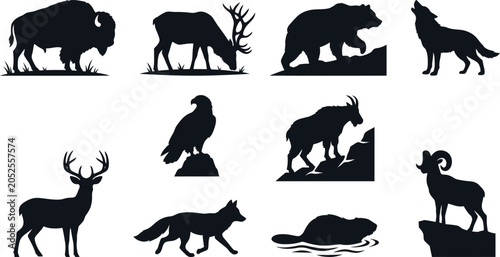 Obraz na plátne Black silhouettes of various wild animals on white background  wildlife icons