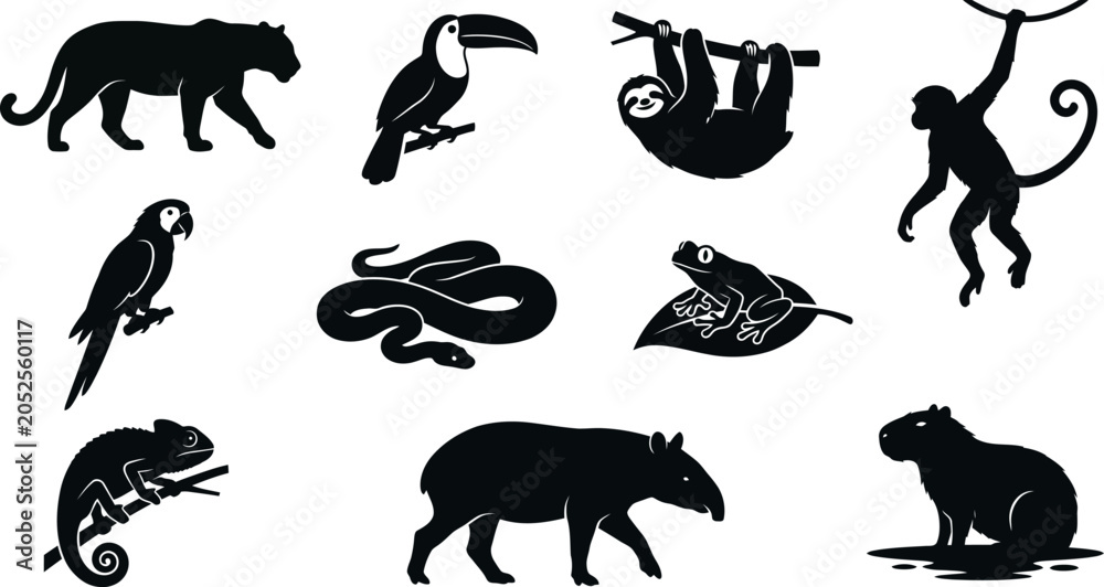 Fototapeta premium Silhouettes of various exotic animals on white background jungle wildlife icons