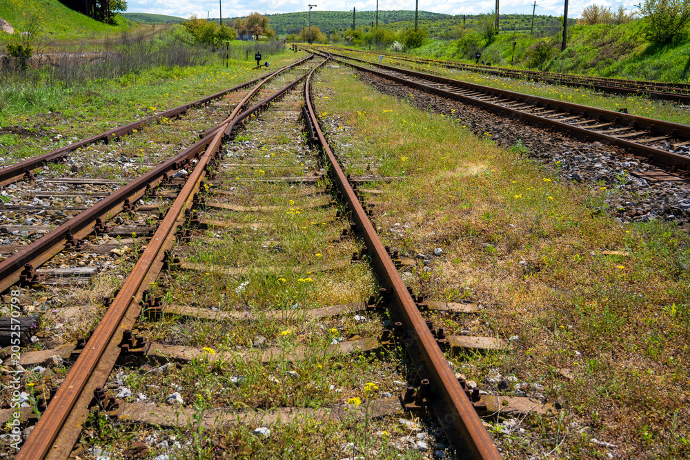 Obraz premium Rusted rails stretch through wild, overgrown grass