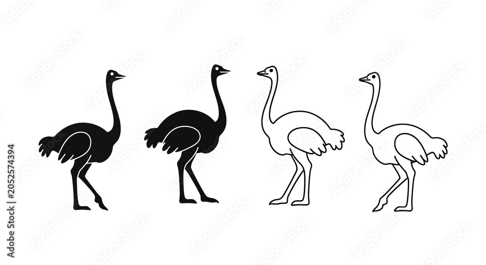 Obraz premium Four Ostrich Illustrations In Varying Line Weights Black And White Silhouette