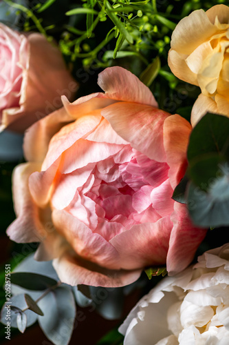 Macro shot of fresh bunch of peonies bouquet of different colors. Card Concept, gentle abstract floral background image, close up, shallow DoF