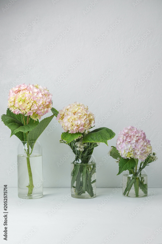 Fototapeta premium Soft pastel floral composition with hydrangeas – great for greeting cards or wellness branding