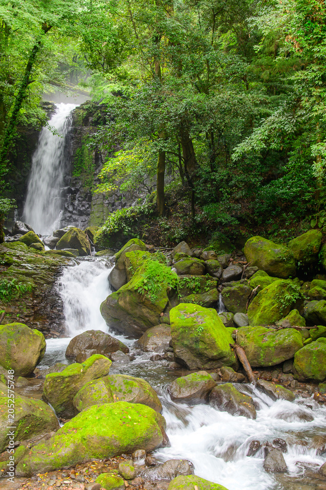 Fototapeta premium A very beautiful waterfall landscape surrounded by nature in Japan.