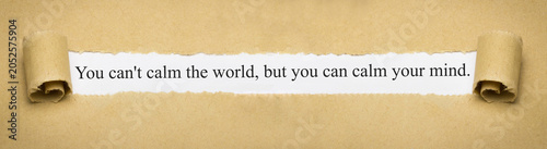 Принти на полотні You can't calm the world, but you can calm your mind.