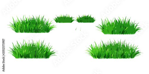Collection of green summer grass tufts, vector