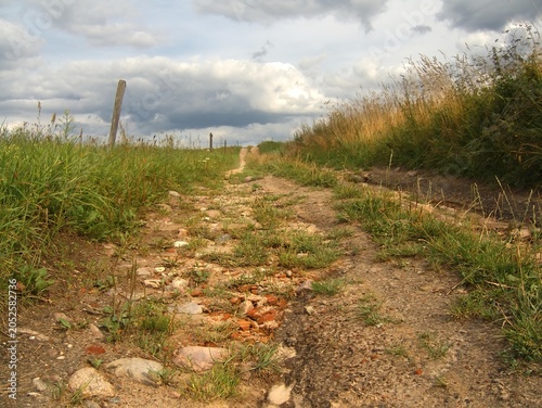 A dusty dirt roadwith stones winding through green fields and meadows in the Masurian Lake District. This rural path leads through a scenic landscape.